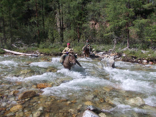 stream crossing